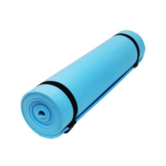 Master Yoga Blue Mat